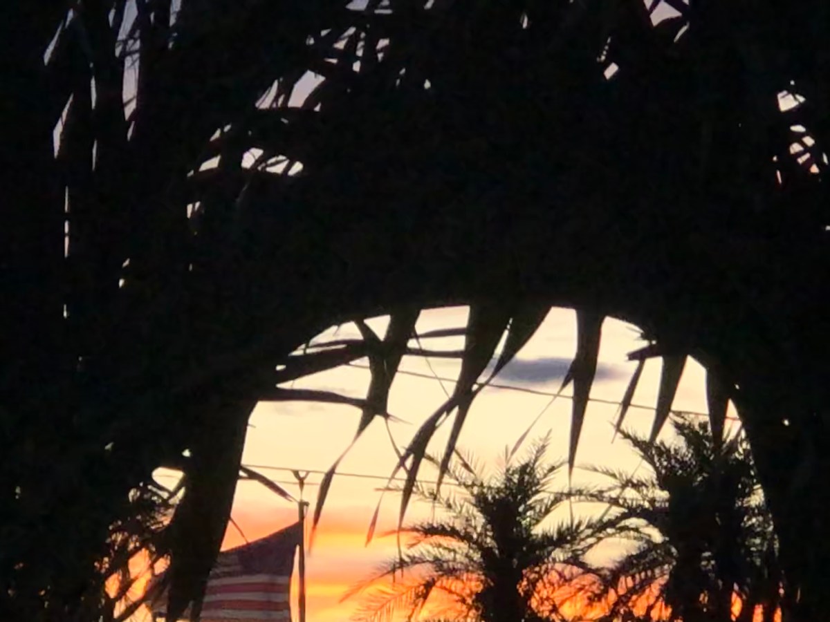 How Are You Starting This Lenten&nbsp;Season?