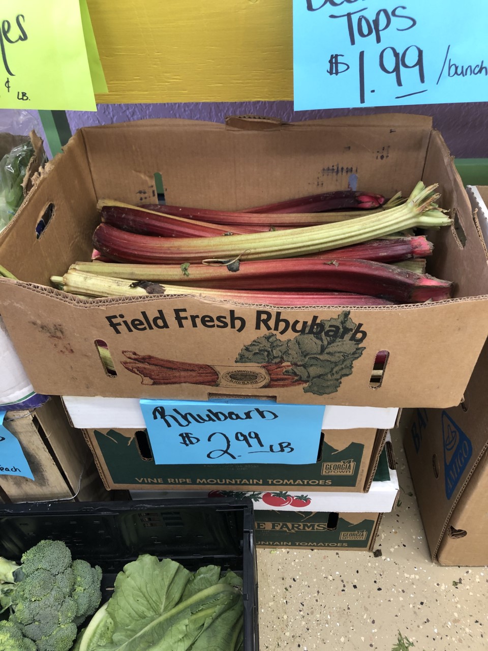 rhubarb